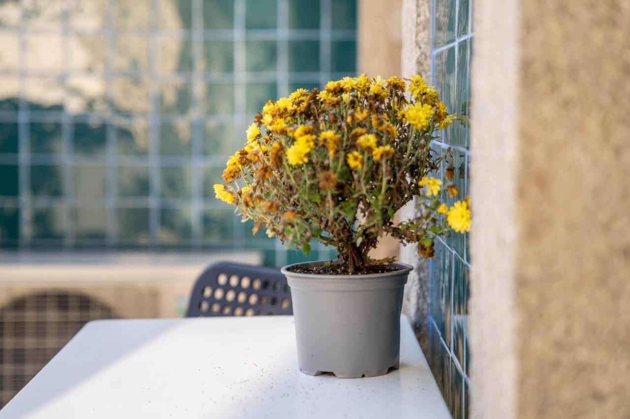 Joao IV Jewel Retreat By Lovelystay OOporto Exteriör bild